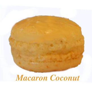 Delight Macarons Coconut